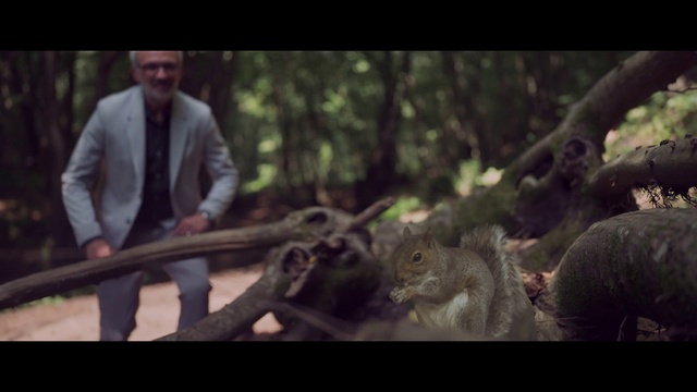 Video Reference: Plant, Flash photography, Tree, Fawn, Tie, Terrestrial animal, Trunk, Wood, Grass, Macaque