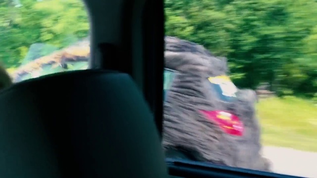 Video Reference: Plant, Window, Automotive lighting, Automotive mirror, Motor vehicle, Automotive design, Automotive tire, Vehicle, Rear-view mirror, Vehicle door