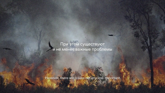 Video Reference: Vertebrate, Natural environment, Vegetation, Pollution, Font, Smoke, Heat, Landscape, Event, Tree