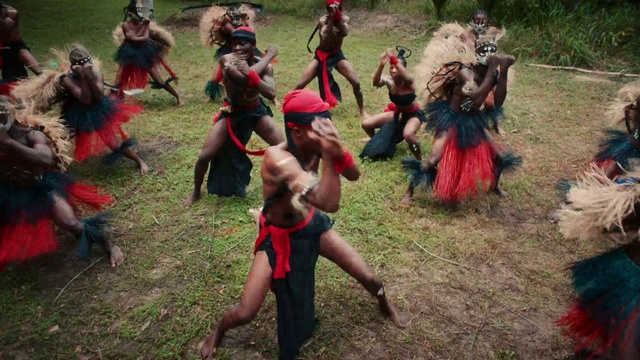 Video Reference: Entertainment, Dance, Plant, Grass, Shorts, Fun, Recreation, Event, Leisure, Grassland