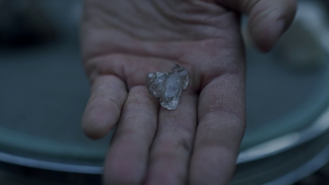 Video Reference: Finger, Insect, Marine invertebrates, Nail, Thumb, Terrestrial animal, Soil, Fashion accessory, Macro photography, Invertebrate