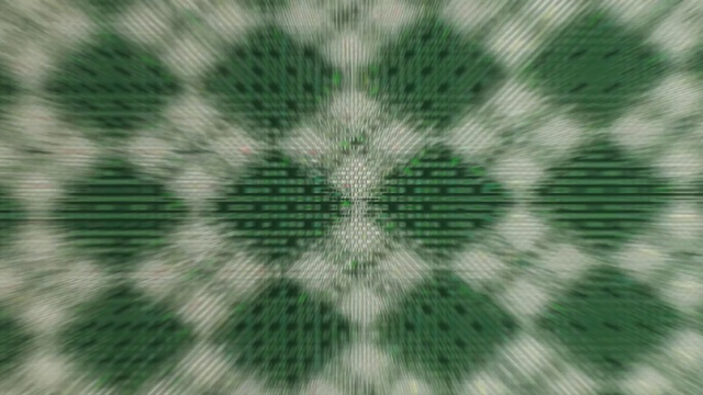 Video Reference: Plant, Terrestrial plant, Pattern, Petal, Grass, Symmetry, Whiskers, Circle, Art, Fur