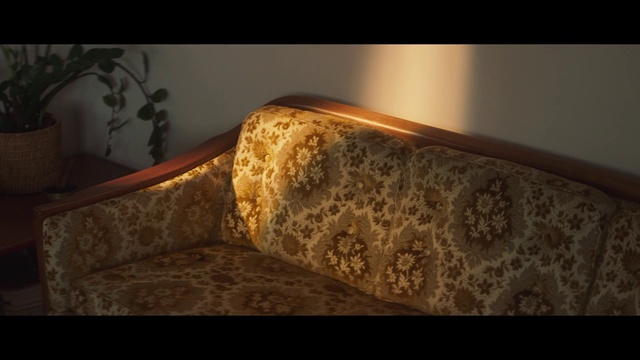 Video Reference: Couch, Wood, Artifact, Chair, Comfort, Tints and shades, Automotive lighting, House, Human leg, Metal