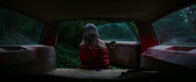 Video Reference: Motor vehicle, Vehicle, Automotive lighting, Window, Car, Plant, Vehicle door, Automotive exterior, Trunk, Automotive mirror