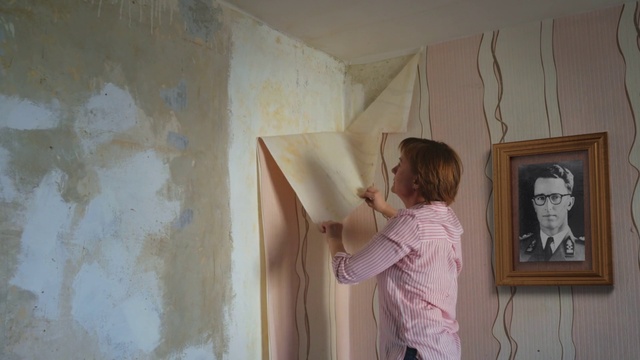 Video Reference: Paint, Textile, Wood, Gesture, Painter, Art, Plaster, Ceiling, Visual arts, Hardwood