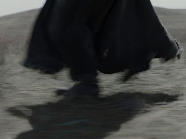 Video Reference: Working animal, Tail, Wing, Snout, Terrestrial animal, Human leg, Foot, Whiskers, Tree, Wildlife