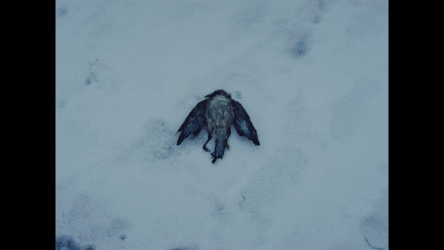 Video Reference: Snow, Sky, Freezing, Slope, Ice cap, Winter, Electric blue, Art, Wood, Visual arts