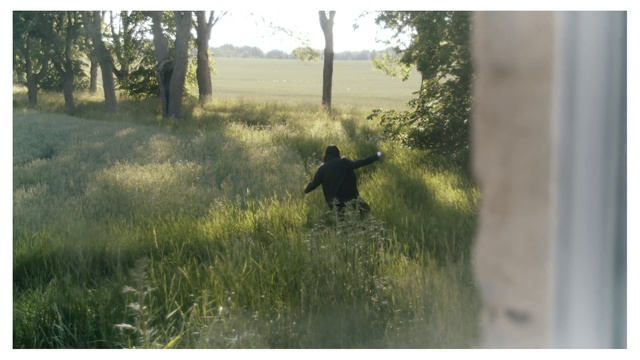 Video Reference: Plant, Tree, People in nature, Wood, Natural landscape, Fawn, Grass, Tints and shades, Landscape, Grassland