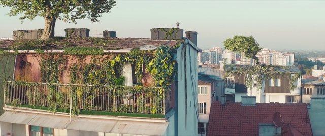 Video Reference: Sky, Building, Plant, Window, Tree, Fence, Urban design, Residential area, City, House