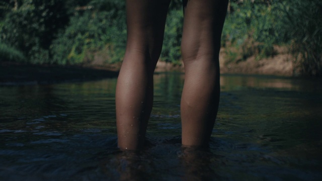 Video Reference: Water, Plant, People in nature, Natural environment, Flash photography, Natural landscape, Wood, Lake, Gesture, Tree