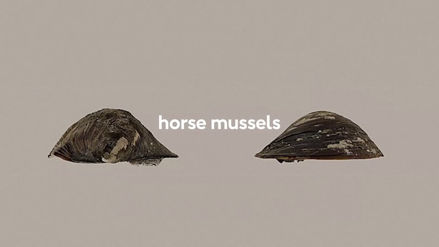 Video Reference: Triangle, Font, Wood, Fashion accessory, Rock, Wildlife, Illustration, Art, Metal, Monochrome photography