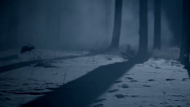 Video Reference: Atmosphere, Water, Cloud, Fog, Wood, Snow, Sunlight, Grey, Atmospheric phenomenon, Freezing