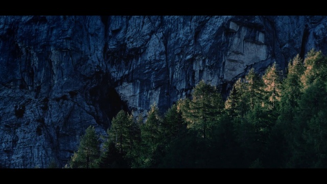 Video Reference: Mountain, Plant, Natural landscape, Wood, Bedrock, Terrain, Trunk, Landscape, Formation, Mountainous landforms
