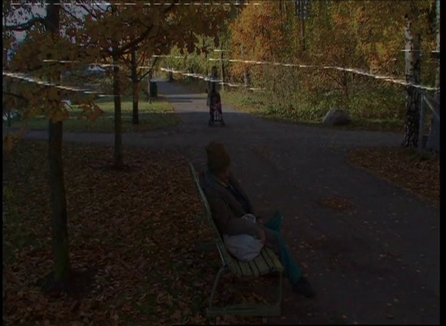 Video Reference: Plant, Leaf, Tree, Grass, Shade, Asphalt, Road surface, Tints and shades, Wood, Landscape