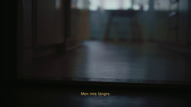 Video Reference: Wood, Flooring, Floor, Asphalt, Road surface, Rectangle, Hardwood, Tints and shades, Glass, Darkness