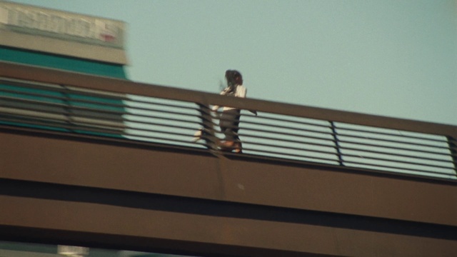 Video Reference: Sky, Rectangle, Wood, Tints and shades, Roof, Symmetry, Metal, Tree, Facade, Bridge