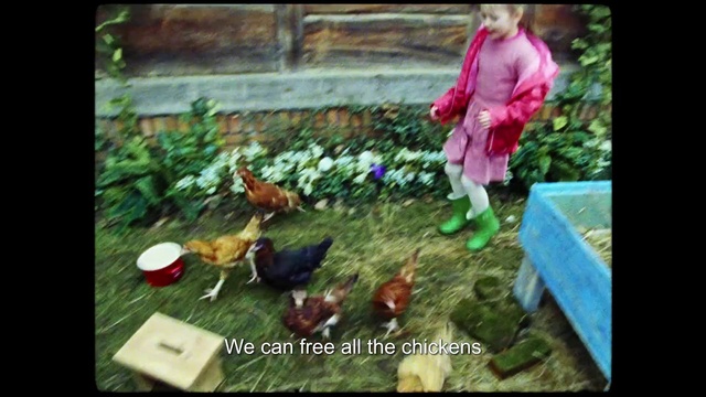 Video Reference: Bird, Phasianidae, Green, Plant, Chicken, Organism, Galliformes, Grass, People in nature, Poultry