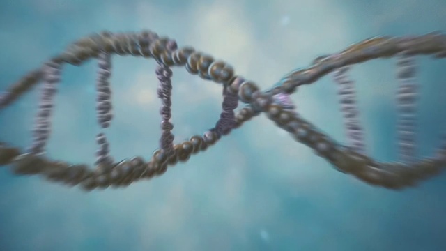 Video Reference: Cloud, Sky, Plant, Branch, Fence, Twig, Wire fencing, Barbed wire, Mesh, Freezing