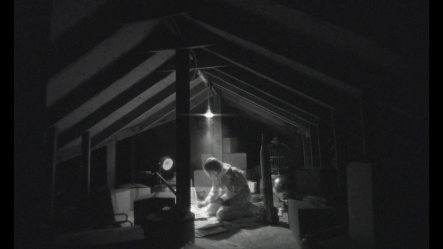 Video Reference: Flash photography, Tints and shades, Building, Darkness, Wood, Monochrome photography, Midnight, Still life photography, Room, Monochrome