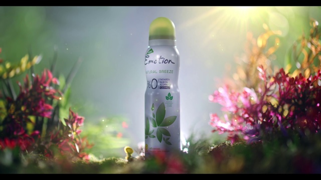 Video Reference: Flower, Plant, Liquid, Bottle, Leaf, Lighting, Sunlight, Organism, Drink, Water