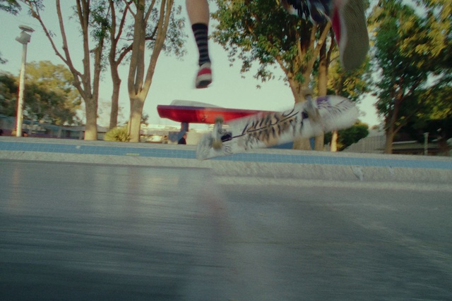 Video Reference: Sky, Aircraft, Tree, Plant, Airplane, Vehicle, Wheel, Road surface, Asphalt, Aviation