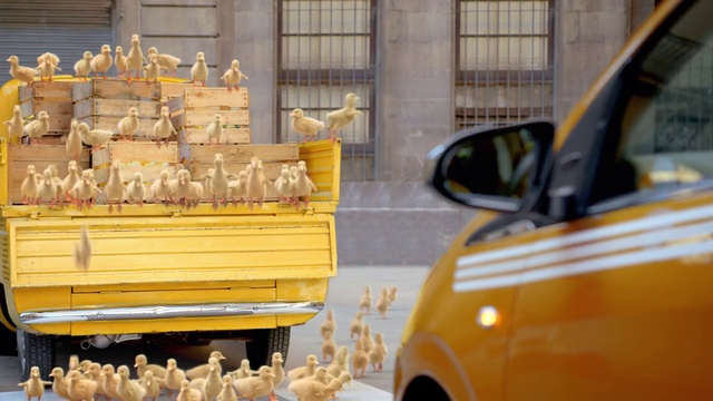 Video Reference: Motor vehicle, Vehicle, Hood, Yellow, Mode of transport, Automotive design, Mirror, Window, Car, Automotive exterior