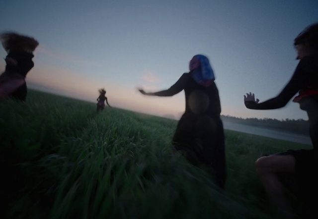 Video Reference: Sky, Plant, Cloud, Flash photography, Gesture, Happy, Sunrise, Sunset, Grass, People in nature