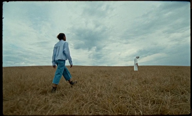 Video Reference: Sky, Cloud, People in nature, Gesture, Happy, Grass, Flash photography, Grassland, Landscape, Agriculture