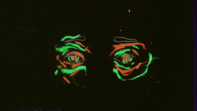Video Reference: Art, Amphibian, Font, Neon, Darkness, Toad, Event, Electronic signage, Graphics, Creative arts