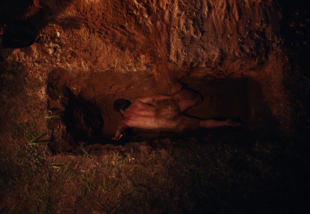 Video Reference: Plant, Wood, Bedrock, Fawn, Tints and shades, Grass, Trunk, Formation, Recreation, Landscape