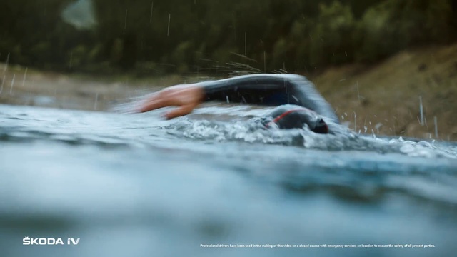 Video Reference: Water, Vehicle, Automotive tire, Motor vehicle, Tire, Wood, Tree, Snout, Lake, Recreation