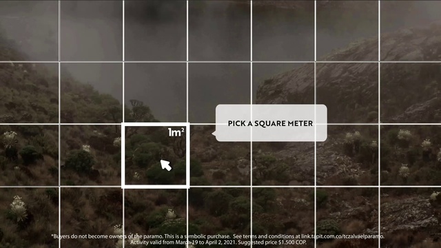 Video Reference: Ecoregion, Natural environment, Slope, Font, Atmospheric phenomenon, Parallel, Landscape, Rectangle, Wood, Grass