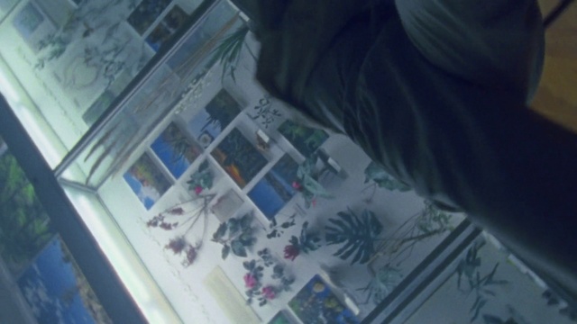 Video Reference: Window, Glass, Building, Art, Transparent material, Room, Windshield, Font, Reflection, Visual arts