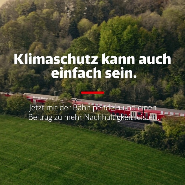 Video Reference: Plant, Property, Plant community, Ecoregion, World, Natural landscape, Tree, Natural environment, Highland, Land lot