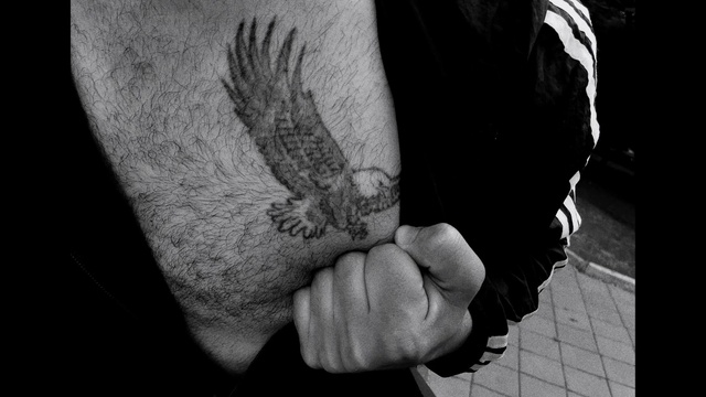 Video Reference: Hand, Plant, Arm, Black, Bird, Sleeve, Black-and-white, Gesture, Grey, Style