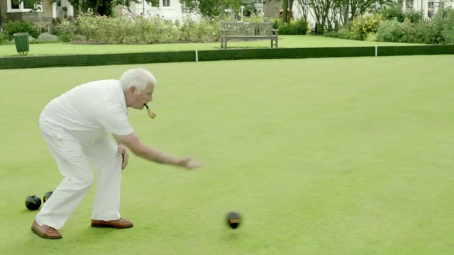 Video Reference: Plant, Sports equipment, Bowls, Green, Ball, Tree, Grass, Bocce, Player, Wood