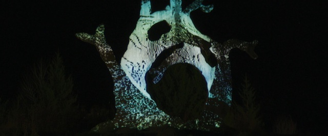 Video Reference: Jaw, Organism, Art, Electric blue, Darkness, Fang, Font, Pattern, Graphics, Tree