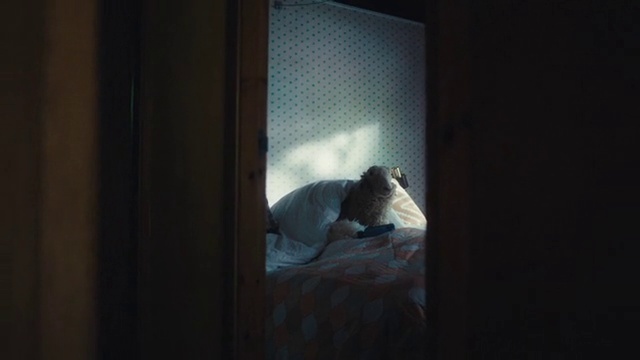 Video Reference: Comfort, Flash photography, Wood, Tints and shades, Window, Bed, Hardwood, Linens, Darkness, Curtain