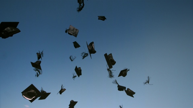 Video Reference: Sky, Wing, Air sports, Bird migration, Aerobatics, Flight, Sport kite, Art