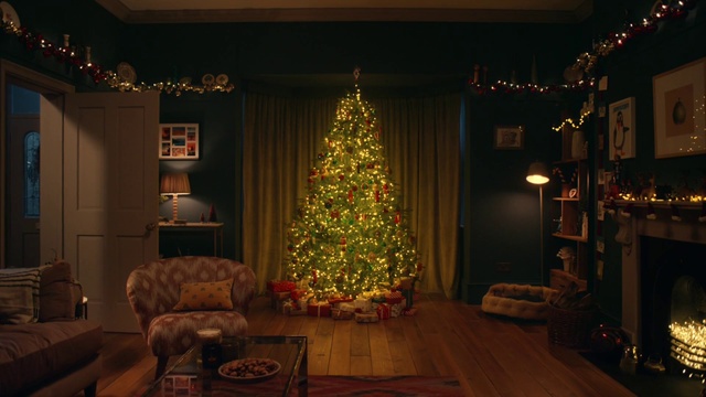 Video Reference: Christmas tree, Christmas ornament, Property, Furniture, Branch, Holiday ornament, Wood, Decoration, Couch, Plant