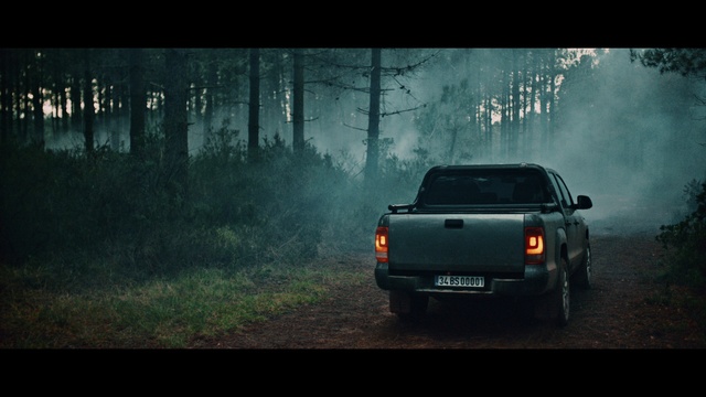 Video Reference: Automotive tail & brake light, Tire, Car, Wheel, Vehicle, Automotive lighting, Automotive tire, Plant, Natural environment, Sky
