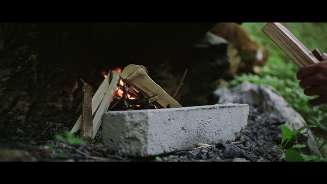 Video Reference: Plant, Wood, Grass, Gas, Terrestrial plant, Event, Heat, Automotive wheel system, Asphalt, Soil