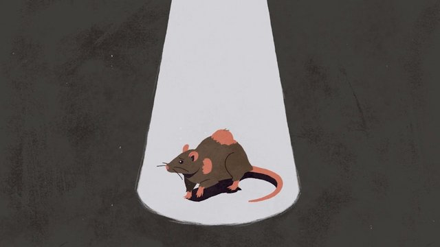 Video Reference: rat, mouse, illustration, cartoon, spotlight, dark background, animal, minimal, shadow, centered, graphic, poster, vector, simple