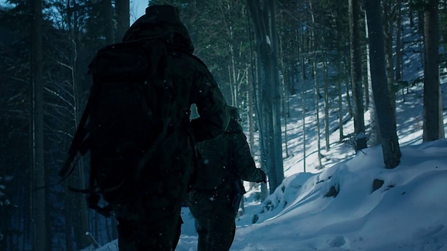 Video Reference: Snow, Plant, Tree, Atmospheric phenomenon, Freezing, Forest, Winter, Recreation, Frost, Event