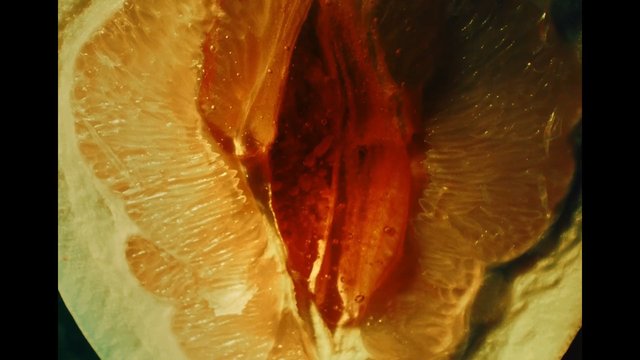Video Reference: citrus, fruit, slice, close-up, macro, texture, organic, fresh, juicy, orange, lemon, food, abstract, red, yellow