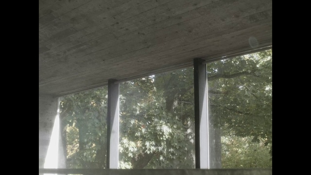 Video Reference: Window, Shade, Fixture, Wood, Curtain, Tints and shades, Glass, Hardwood, Tree, Window treatment