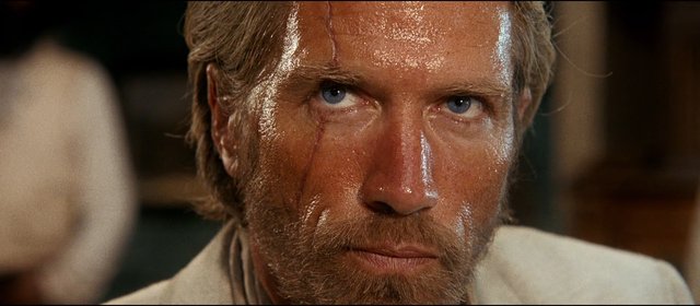 Video Reference: close-up, man, beard, sweaty, dirty face, intense expression, looking at camera, indoor, dramatic lighting, portrait, film still