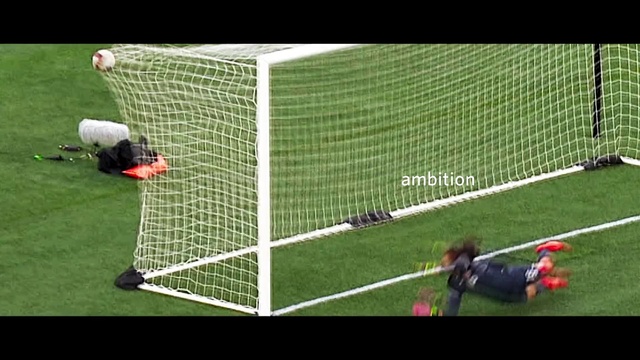 Video Reference: Soccer, Sports equipment, Player, Football, Grass, Ball game, Net, Ball, Sports, Team sport