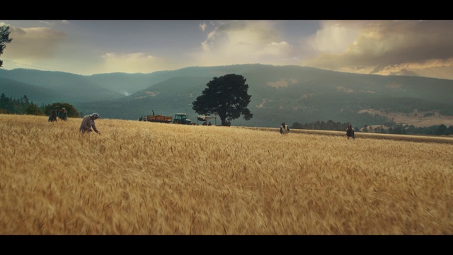 Video Reference: Cloud, Sky, Plant, People in nature, Natural landscape, Mountain, Sunlight, Atmospheric phenomenon, Tree, Agriculture