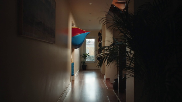 Video Reference: Houseplant, Flowerpot, Building, Plant, Wood, Flooring, House, Tints and shades, Ceiling, Hardwood